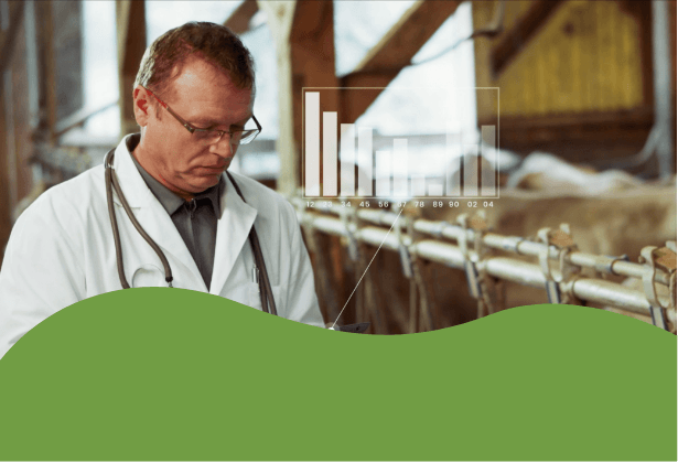 11-vers la transformation.png