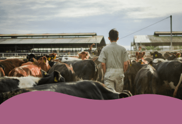 7-vers observatoire-mob.png